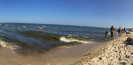 Lawenda Gdańsk